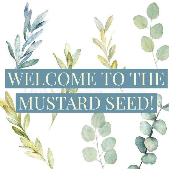 Welcome! 🌞 - Picture 2 of 3